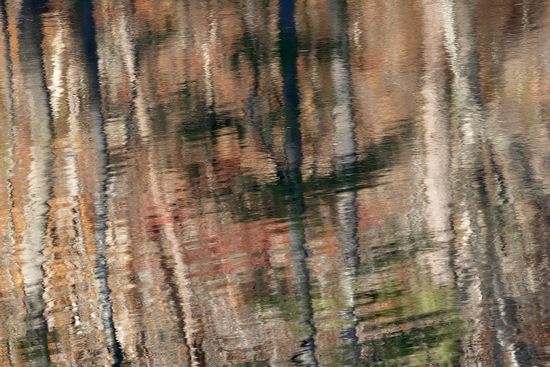 Fort Payne;Alabama;Little River Canyon National Preserve;Textures;Shapes;Patterns;Abstractions;Abstract;Reflections;Reflection;Autumn;Seasons;Fall